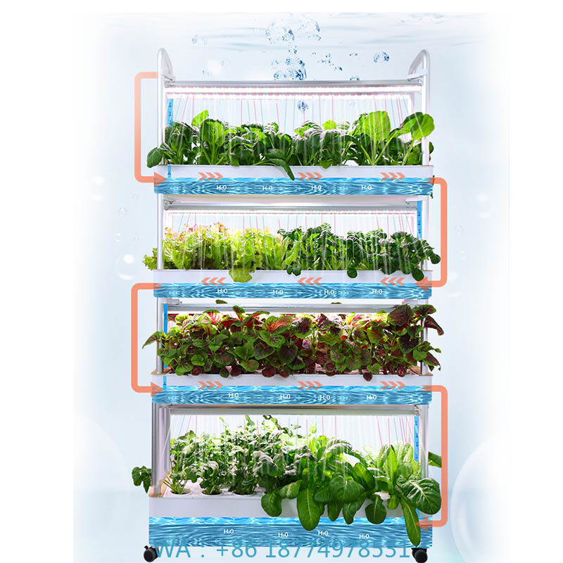 ydroponic Planting System Smar - Home Automation Systems Diy review and price