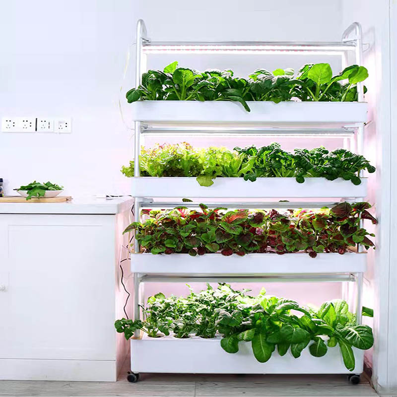 ydroponic Planting System Smar - Home Automation Systems Diy review and price