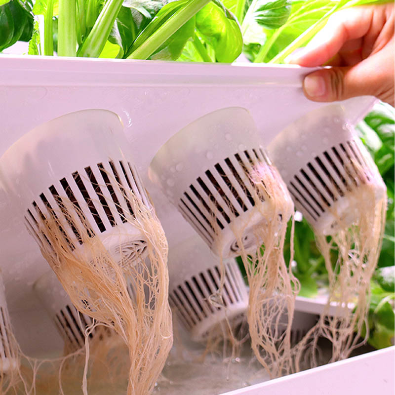 ydroponic Planting System Smar - Home Automation Systems Diy review and price