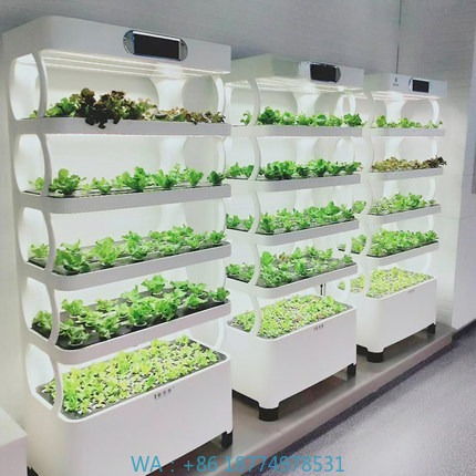 Hydroponic Automated Grow Syst - Home Automation Diy review and price